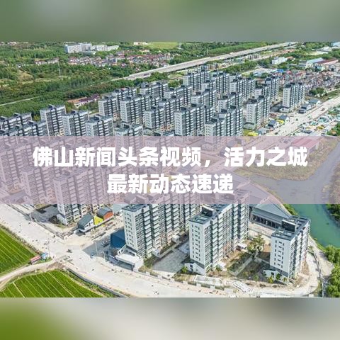 佛山新闻头条视频，活力之城最新动态速递