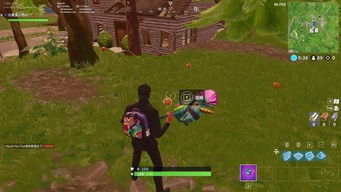 堡垒之夜手游中文补丁及天下花官方下载,实践经验解释定义_进阶版1_v1.449