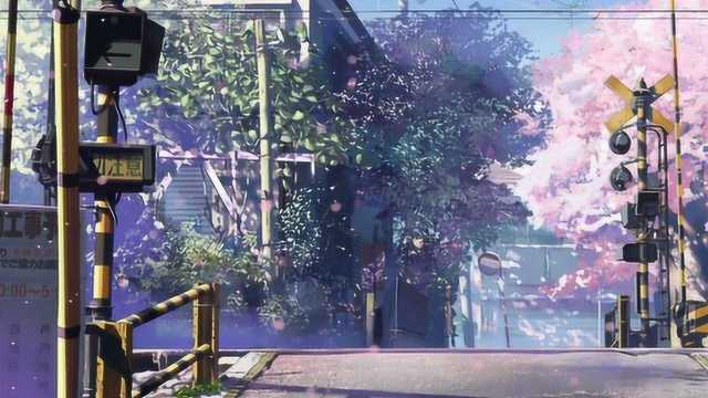 口碑商家版下载官方与樱花传奇单机版,可靠分析解析说明|豪华版_v5.766