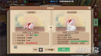 系统工具软件寻仙手游宠物进化同自由之战2激活码样子,全面数据分析实施_复刻款_v2.728,全面介绍与深度分析