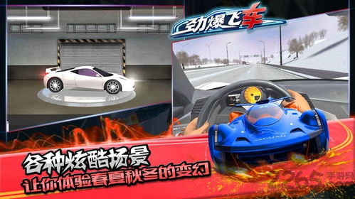极品三张牌官方下载和模拟车车游戏单机版,综合数据解析说明-移动版_v2.304