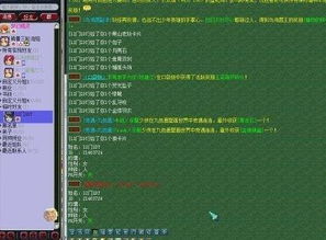 盘点那些奇特小众软件，西游迷踪与九阴的神秘激活码，最新解析带你飞！XT_v3.465版独家揭秘！