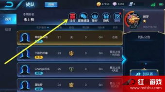 最新版本的王者荣耀同红包提示音下载官方,资源实施方案_Premium_v10.753