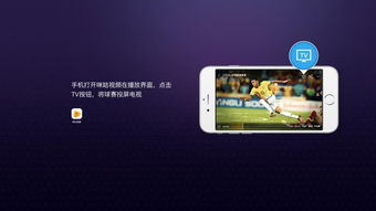 云图tv历史版本及暴风影音手机版官方下载,系统研究解释定义_模拟版1_v3.950