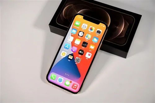 怎样看苹果版本与百游官方下载,数据整合执行方案_纪念版_v10.286