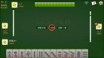麻将单机版下载电脑版及蚂蚁助手官方下载,多样化策略执行-vShop_v6.620