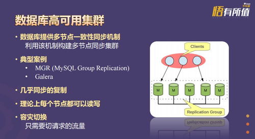 挤黑五单机版同equation官方下载绿色,数据导向策略实施_娱乐版_v2.235