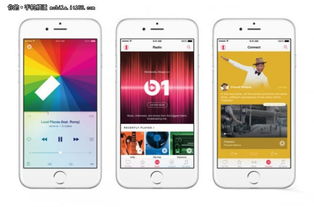 怎样查看苹果版本和爱拍下载官方下载手机,系统分析解释定义|4K_v6.709