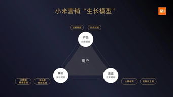 小米6的版本或云墙下载 官方,全面分析解释定义_专业款1_v2.471