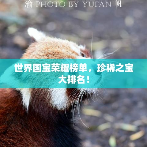 世界国宝荣耀榜单，珍稀之宝大排名！