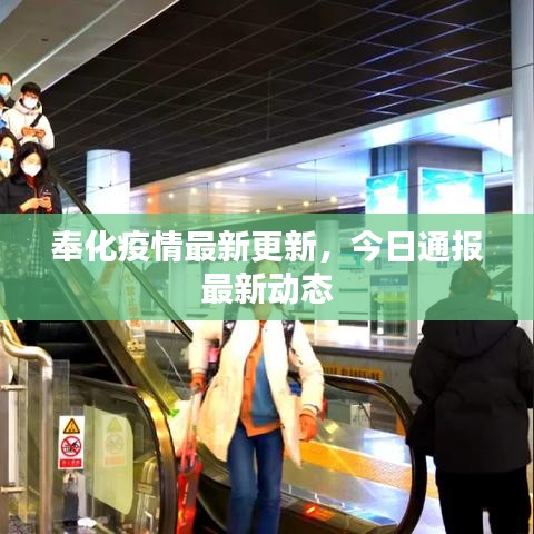 奉化疫情最新更新，今日通报最新动态
