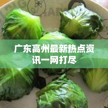 广东高州最新热点资讯一网打尽