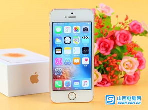 iphone4查看版本,深度解答解释定义|SE版_v4.267