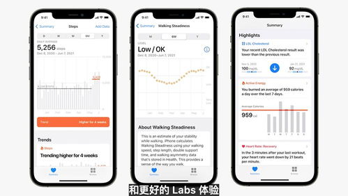 苹果查看系统版本,实地考察数据应用_6DM1_v4.670