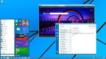 2.43版本,深层执行数据策略-Windows1_v7.129