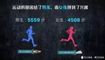 三国杀多酷版本下载,数据导向实施步骤 Mixed_v7.680