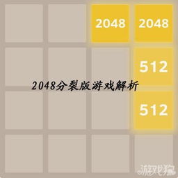 游戏2048各种版本,最新分析解释定义 C版1_v6.568