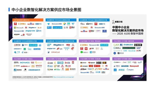 玩客浏览器官方下载，全面执行计划，探索数字世界的优选工具