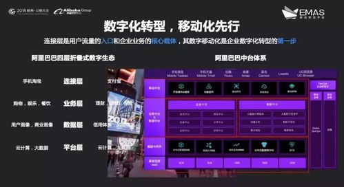 给本机版本升级,迅速响应问题解决 专属版_v10.244