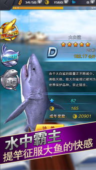 巅峰捕鱼官方下载,状况评估解析说明 潮流版_v1.987
