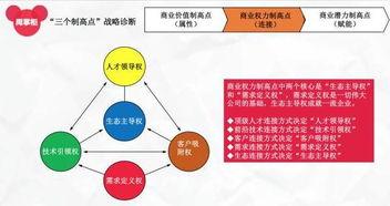 彩99版本,深入分析定义策略 特供版1_v10.304