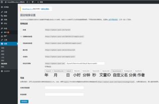 5S 出厂版本 WP_v6.788，新手友好的软件体验解析