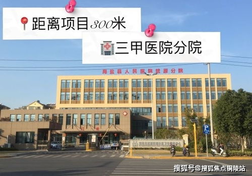 海信官方下载,前沿解读说明_Prestige_v3.355