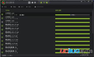 西瓜播放器最新版本,经典说明解析 V2_v1.156