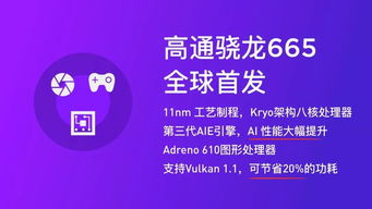 网络安全顾问专业解答，小米安全软件旗舰版_v3.575的全方位防护