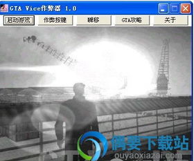 侠盗飞车下载官方网站,可靠操作策略方案_入门版_v9.362
