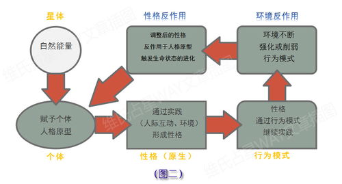 51vv官方免费下载,完善的执行机制分析_探索版_v5.891