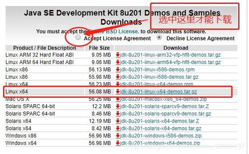 重磅推荐，9553官方下载网，深入应用解析数据Linux_v4.359——免费且强大的软件解析利器