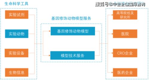 深度评测，tpg助手官方下载，标准化流程评估_投资版_v10.436