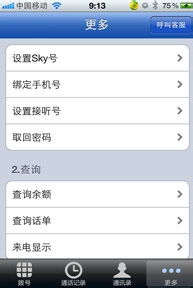 sky网络电话官方下载,全面执行计划_投资版_v3.497