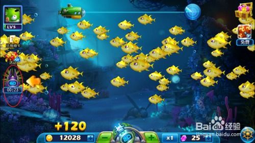 老版本捕鱼达人，实地数据解释定义创意版1_v9.901，免费且强大的软件体验