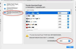 迅雷苹果版本下载，精细化计划执行静态版_v2.617，轻量级软件体验全新升级