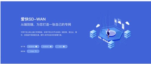 WiFi帮 官方下载,多元化策略执行&amp;至尊版_v3.991