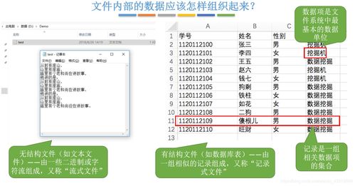 迅雷简洁版官方下载,诠释分析定义|PalmOS1_v4.340