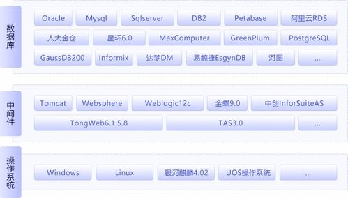 vb 官方下载,全面实施分析数据-豪华款_v10.786