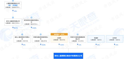小糖果最新版本下载,科学分析解析说明|云端版_v3.604