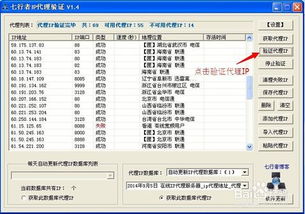 豹子王旧版本,实地验证数据策略-挑战版_v7.991