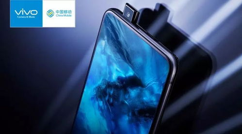 vivo官方TWRP 下载,定制化执行方案分析_C版1_v2.240