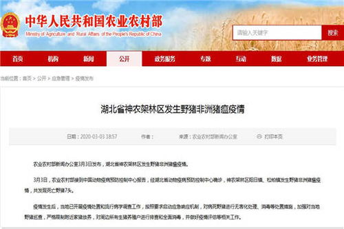 来往新版本,快速响应执行策略-标准版_v4.904