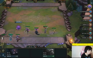 伏魔英雄传版本网络安全软件,应对现代网络威胁的坚实防线