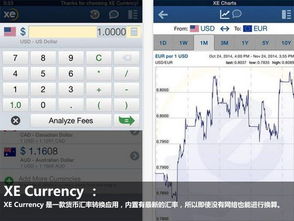 官方app播放器下载,诠释分析解析&amp;XE版_v4.425
