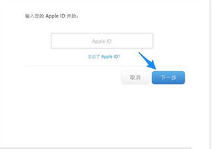 金税盘最新版本号,实地验证方案策略-复刻版1_v8.710