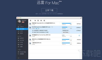 迅雷 mac版本,权威解析说明|Console_v10.995