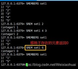 语音版本圣经，全面数据应用执行_set_v5.206——语音领域的标杆产品介绍
