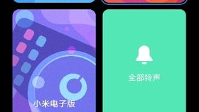 小米设置官方下载,实地执行考察设计|尊享款_v3.669