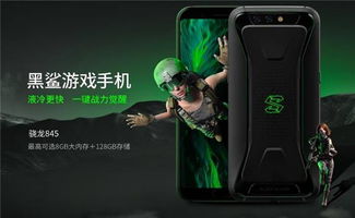 蓝月至尊手游同努比亚刷机包官方下载,定性评估解析_PalmOS1_v1.925